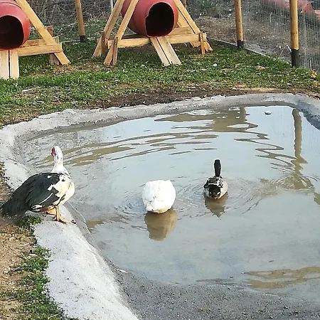 Lüks kamp alanı Agricampeggio U Beriun