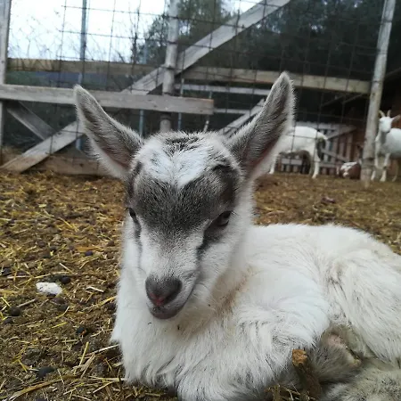 Agricampeggio U Beriun Onzo