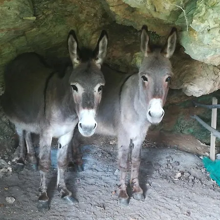 Agricampeggio U Beriun