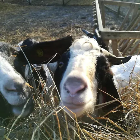 Agricampeggio U Beriun Onzo