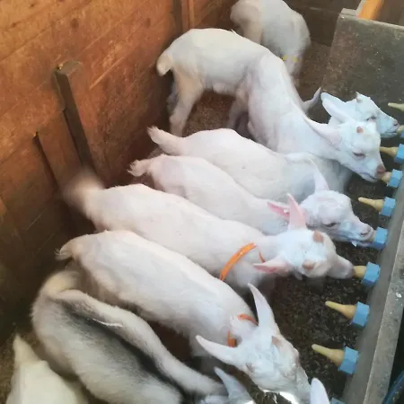 Agricampeggio U Beriun *